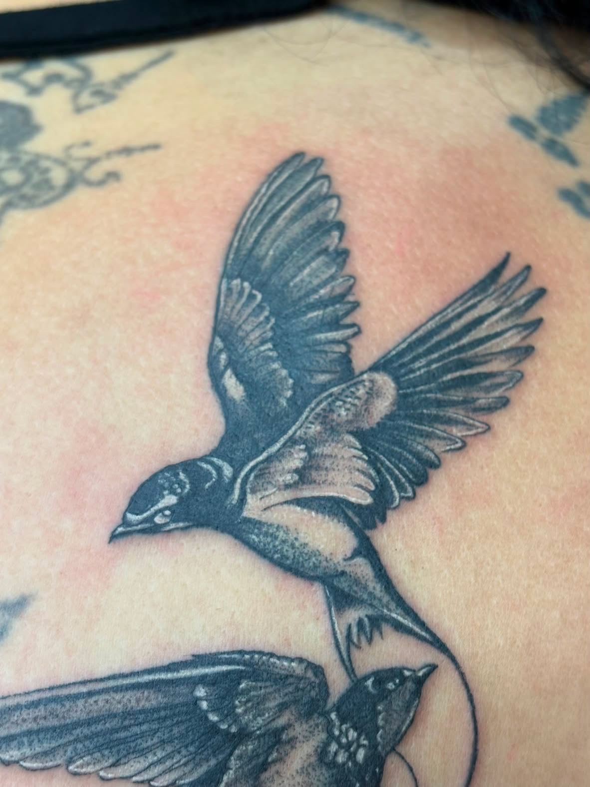 Detailed swallow back tattoo
